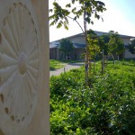 12507307_1067828013264642_258850382973709345_n